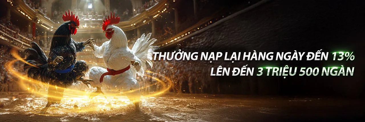 Đá gà cựa sắt