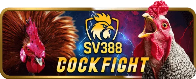 Giao diện thân thiện Sclub88 Win
